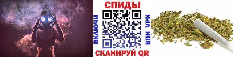 цена   Электроугли  Бутират буратино 