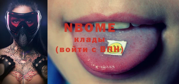 индика Новокубанск