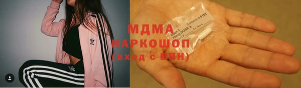индика Новокубанск