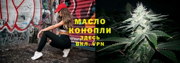 индика Новокубанск