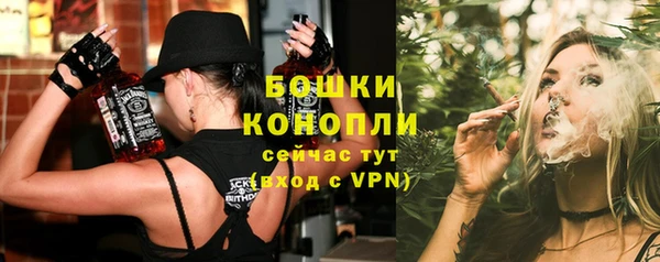 индика Новокубанск