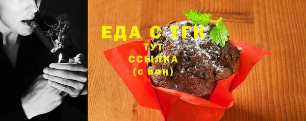 индика Новокубанск