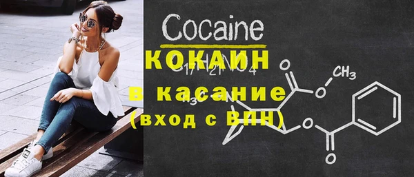индика Новокубанск