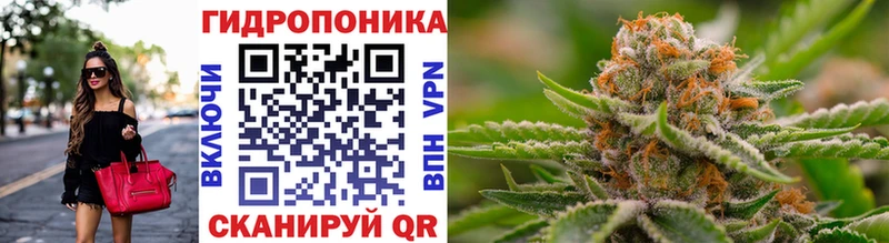 Бошки Шишки план  купить  сайты  Электроугли 
